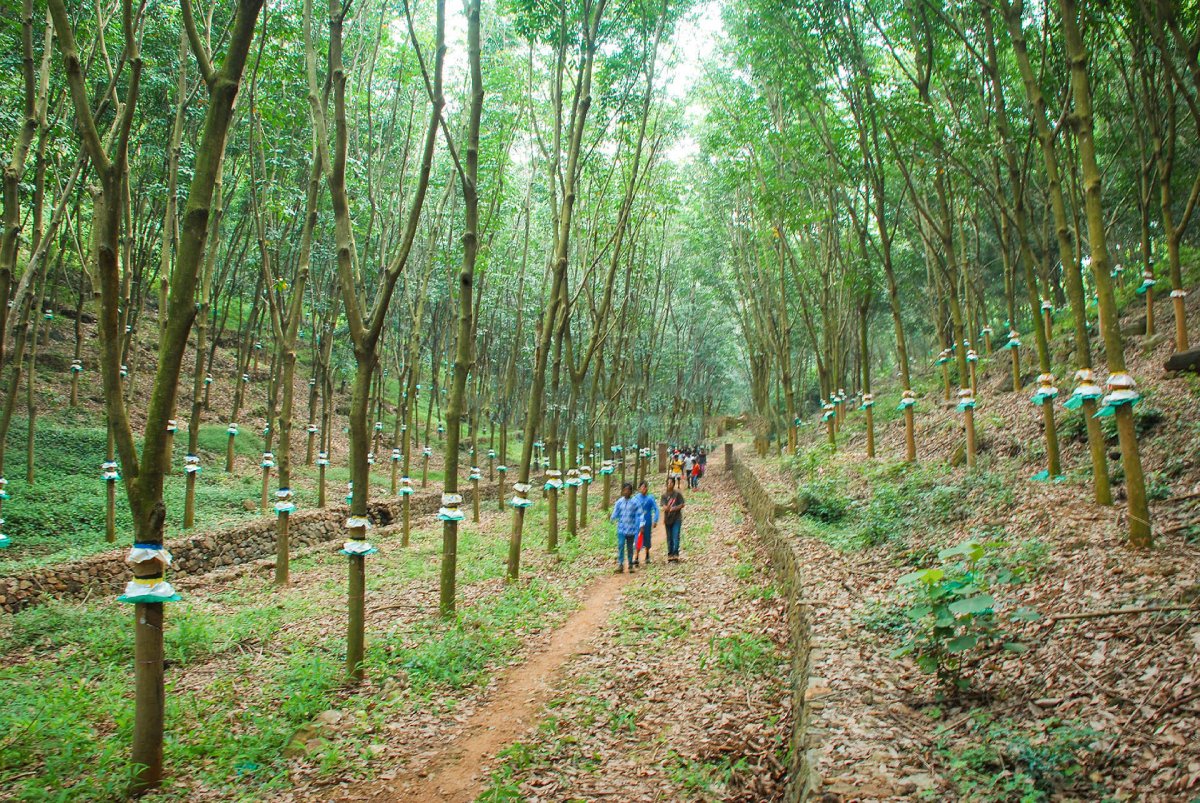 trekking